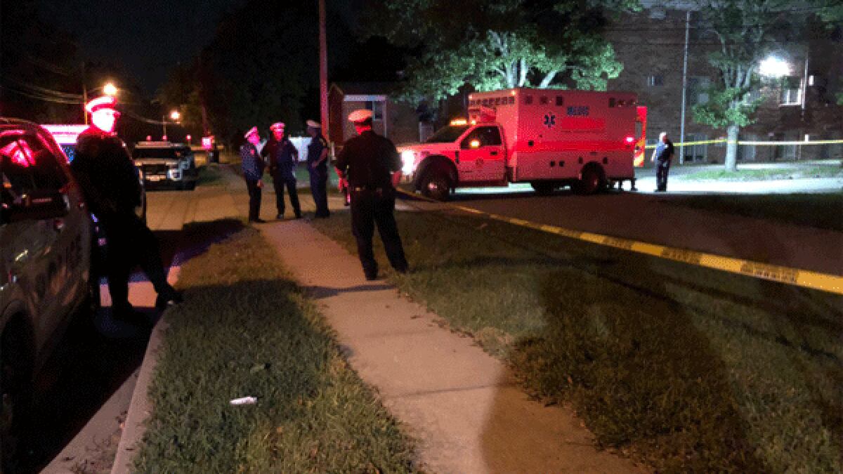 One male is dead and another is in custody after a stabbing in Mt. Airy early Thursday,...