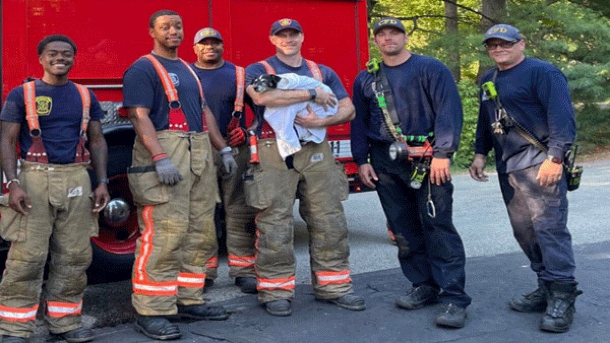 Cincinnati firefighters say they rescued a pup stuck in a drain pipe Saturday in Oakley.
