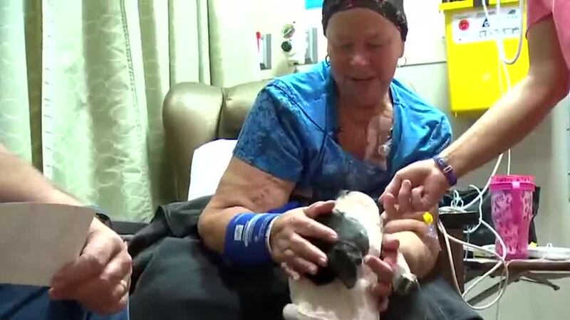 Therapy dogs made a special visit Friday to see cancer patients at Christ Hospital.