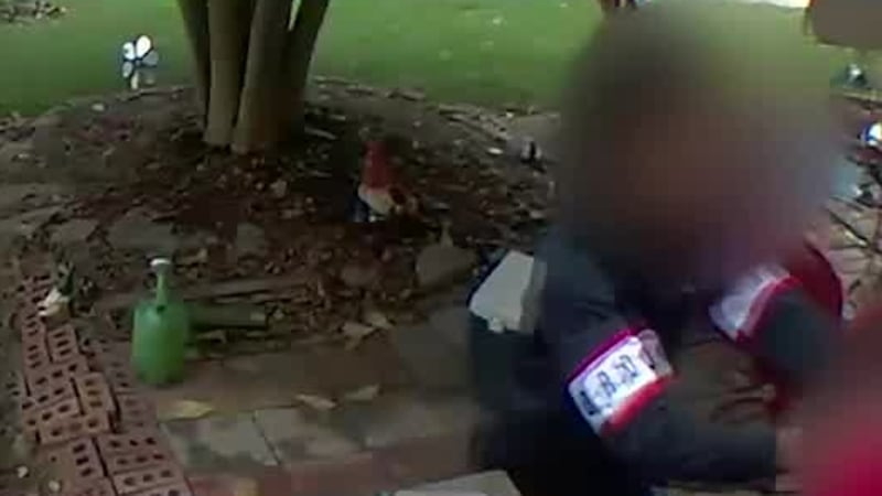 Caught on Cam: Juveniles assault, bully Cheviot boy, 6, in family’s front yard