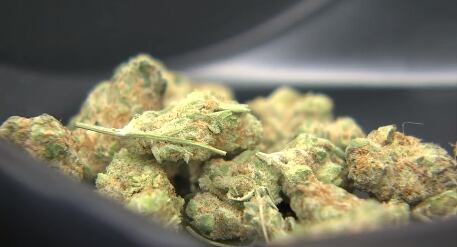 Ohio dispensaries can submit license applications starting Friday - Vimarsana News