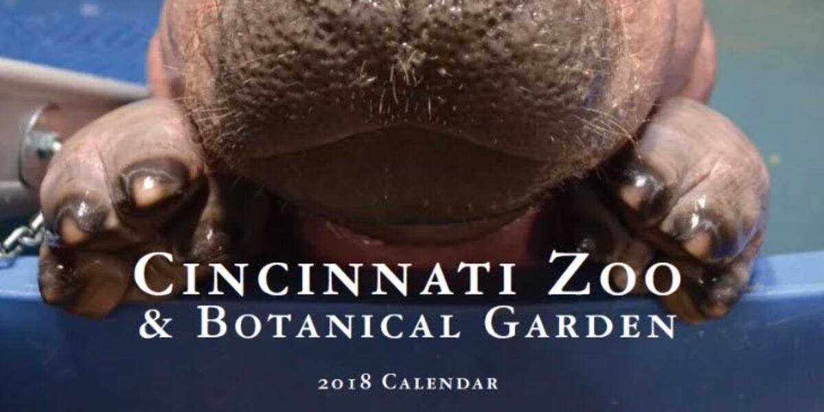 Zoo How many Fiona calendars should we order?