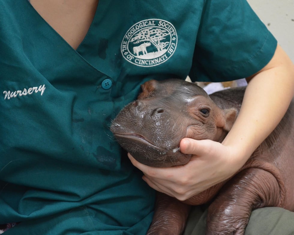 Fiona is celebrating her 3rd birthday!