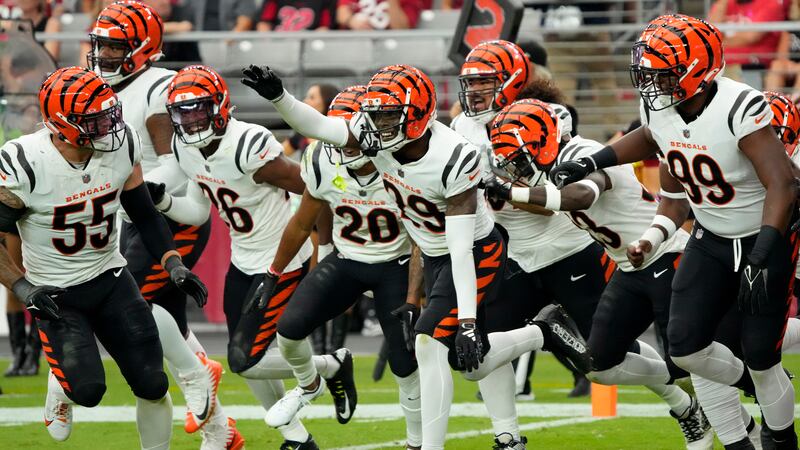 Cincinnati Bengals cornerback Cam Taylor-Britt (29) celebrates his interception for a...