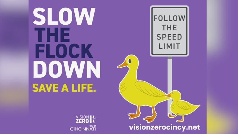 Devou Good Foundation and Vision Zero's 'Slow the Flock Down' campaign.