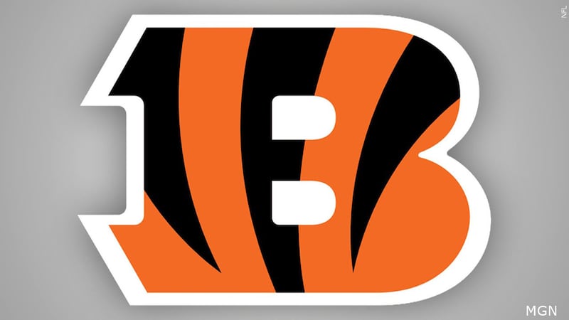Voting is now open for the 2023 Bengals Ring of Honor.
