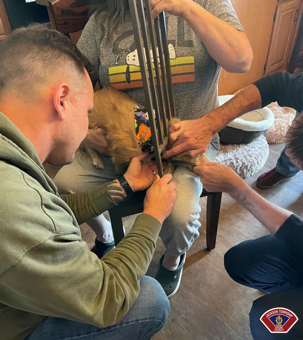 Jackson Township firefighters save dog with head stuck in child gate