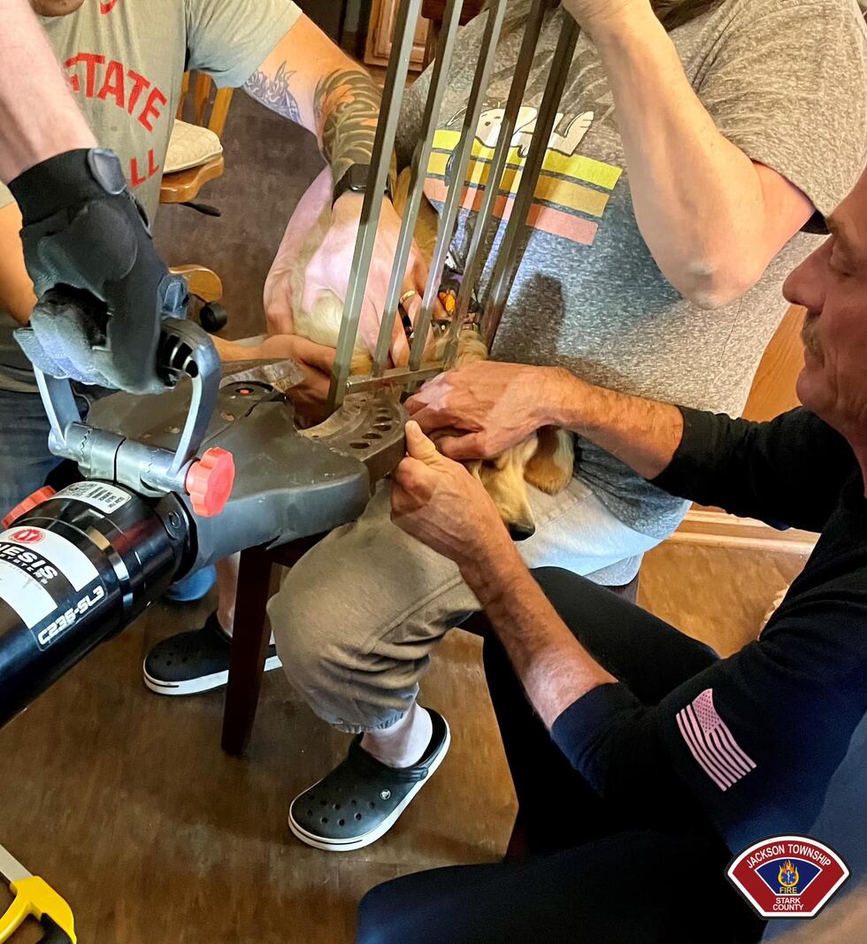 Jackson Township firefighters save dog with head stuck in child gate