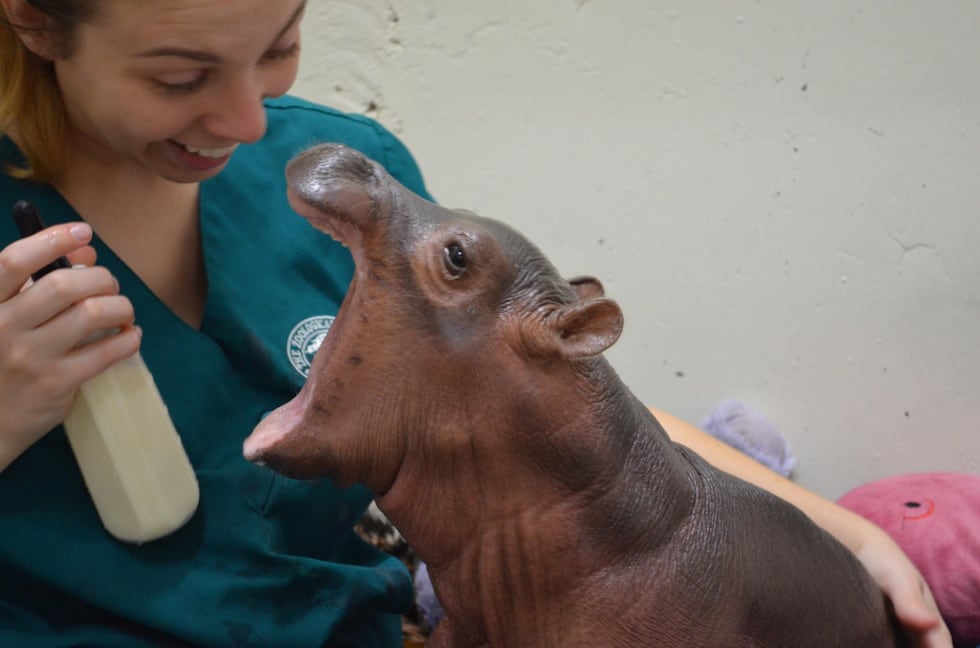 Fiona is celebrating her 3rd birthday!