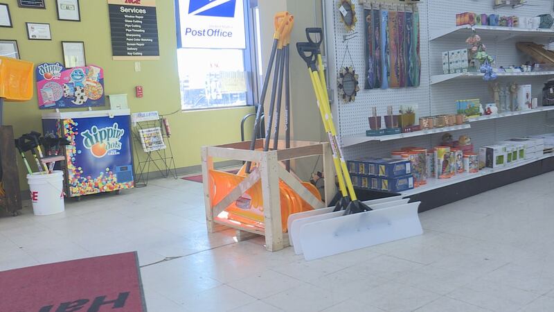Ace Hardware snow shovels